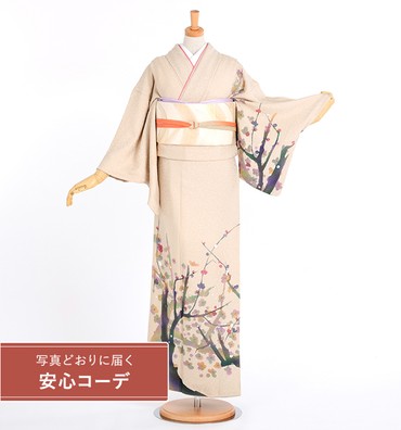 【写真どおりに届く安心コーデ】訪問着レンタル　訪問着Lサイズ　京友禅：日展会員　横山喜八郎　梅　渋クリーム