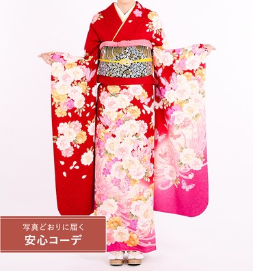 【写真どおりに届く安心コーデ】振袖レンタル　振袖Lサイズ　桜菊に蝶々　赤