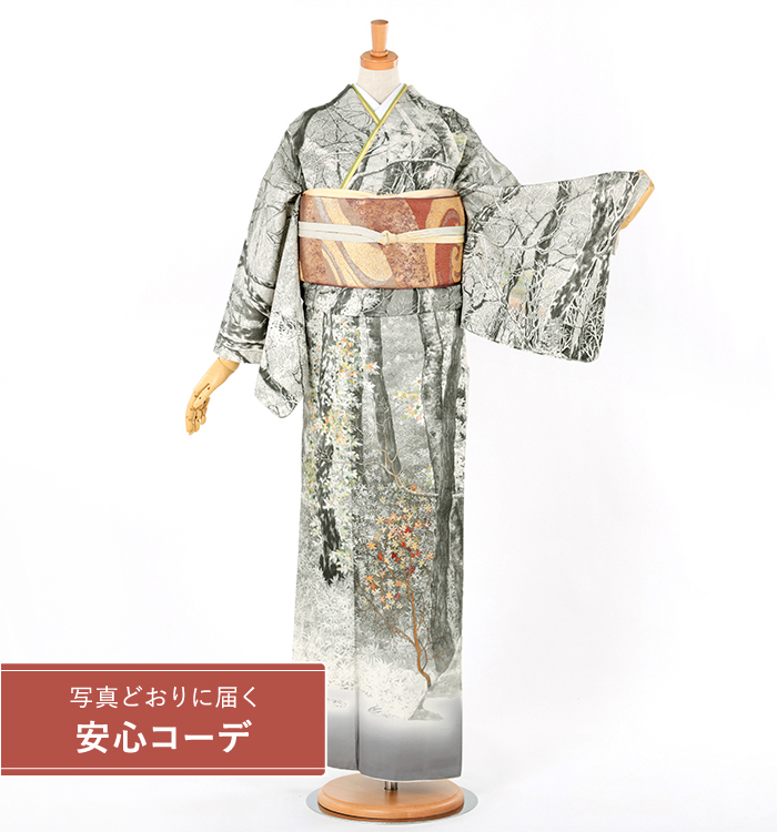 【写真どおりに届く安心コーデ】訪問着レンタル　訪問着LLサイズ　京友禅：山岡古都　×　刺繍：蒋雪英　閑静　白グレー