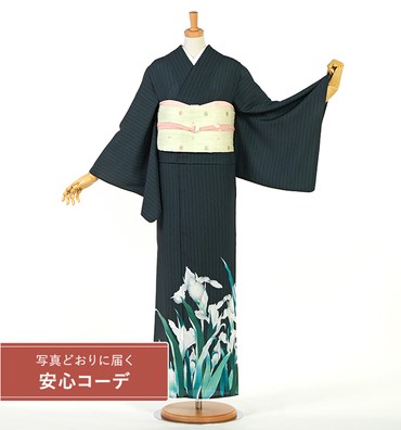 【写真どおりに届く安心コーデ】夏訪問着レンタル　夏訪問着LLサイズ　ブランド：池田重子好み　菖蒲　黒緑色