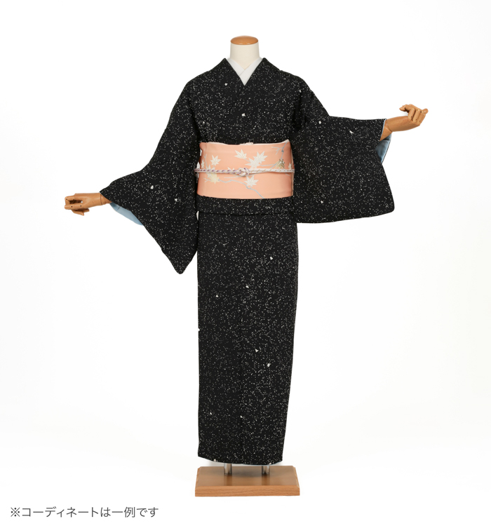小紋レンタル　小紋Lサイズ　京友禅：タケハナ染匠　ろうけつ染め　蒔糊　暗黒色
