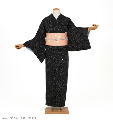 小紋レンタル　小紋Lサイズ　京友禅：タケハナ染匠　ろうけつ染め　蒔糊　暗黒色