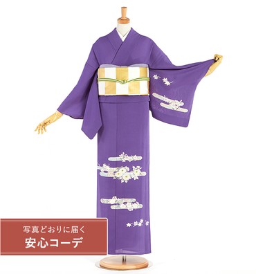 【写真どおりに届く安心コーデ】単衣訪問着レンタル　単衣訪問着Lサイズ　加賀友禅：柿本結一　秋草　青紫
