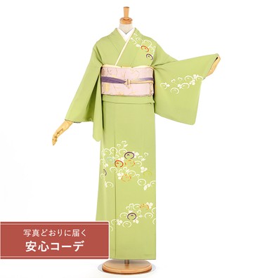 【写真どおりに届く安心コーデ】訪問着レンタル　訪問着Lサイズ　京刺繍：松寿苑　京縫すぎした　万寿菊　鶸色