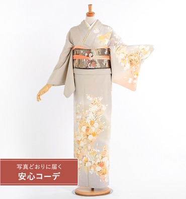 【写真どおりに届く安心コーデ】訪問着レンタル　訪問着Lサイズ　京友禅　松皮菱に四季花　白鼠色