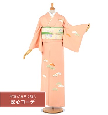 【写真どおりに届く安心コーデ】訪問着レンタル　訪問着Lサイズ　刺繍：村山刺繍店　松　宍色