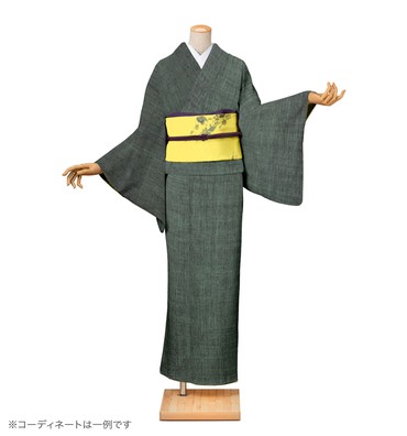 紬レンタル　紬Sサイズ　虫襖色