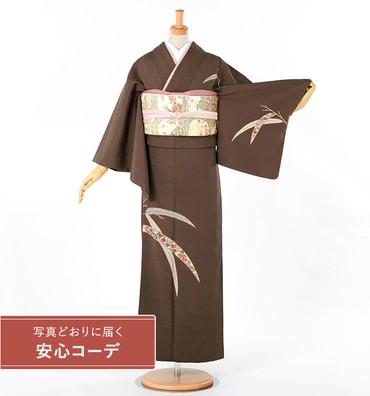 【写真どおりに届く安心コーデ】訪問着レンタル　訪問着Sサイズ　刺繍：慶長笹　煤竹色