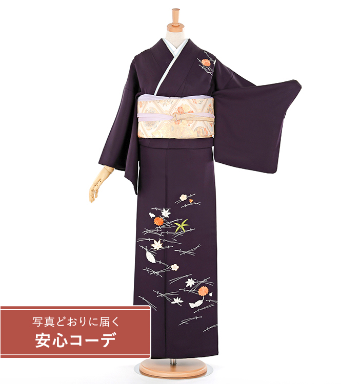 【写真どおりに届く安心コーデ】訪問着レンタル　訪問着Lサイズ　京刺繍：村山刺繍店　吹き寄せ　紫黒