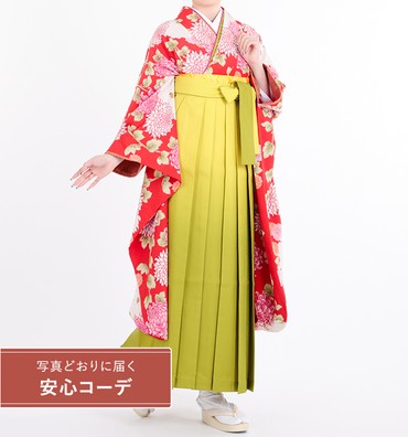 卒業式レンタル　振袖Mサイズ＋袴セット　ブランド：きもの道楽　菊尽くし　赤