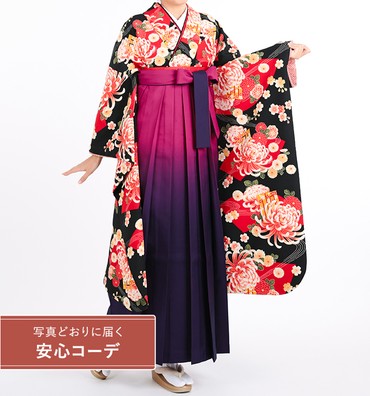 卒業式レンタル　振袖Mサイズ＋袴セット　ブランド：きもの道楽　流水に菊桜　黒/赤