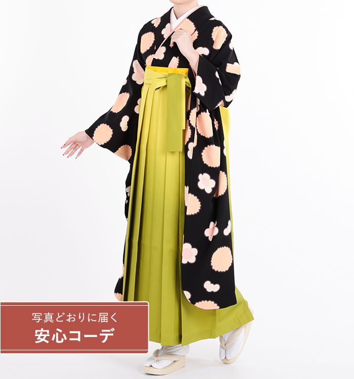 卒業式レンタル　振袖Mサイズ＋袴セット　ブランド：tsumori chisato　菊梅　黒