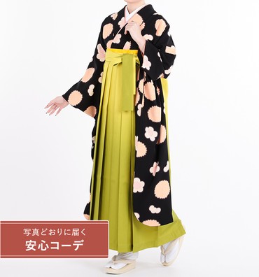 卒業式レンタル　振袖Mサイズ＋袴セット　ブランド：tsumori chisato　菊梅　黒