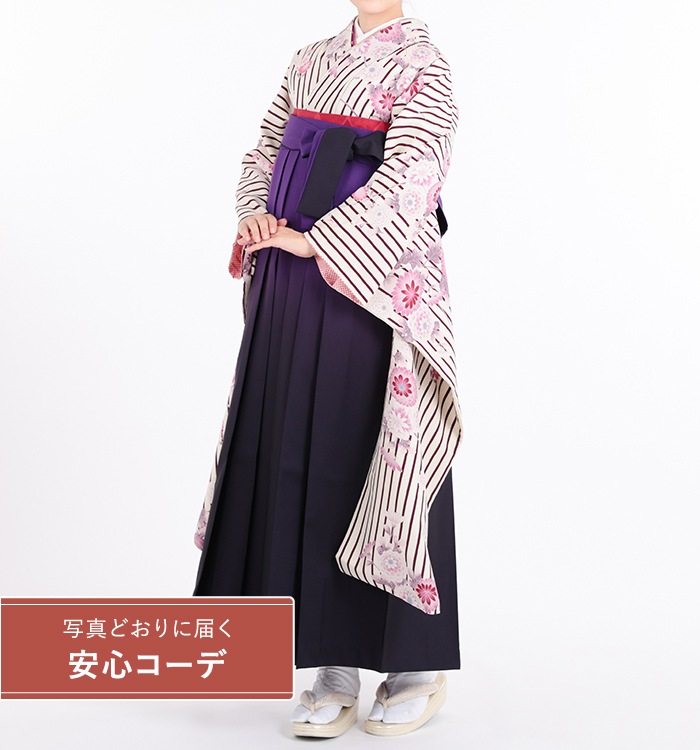卒業式レンタル　振袖Mサイズ＋袴セット　ブランド：きもの道楽　縦縞に菊　クリーム/紫