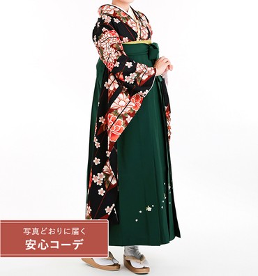 卒業式レンタル　振袖Mサイズ＋袴セット　矢羽に四季花　黒/茶