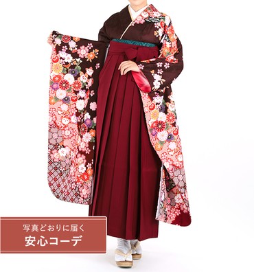 卒業式レンタル　振袖Mサイズ＋袴セット　ブランド：H・L（アッシュエル）絞り風　貝桶四季花鹿子　濃茶