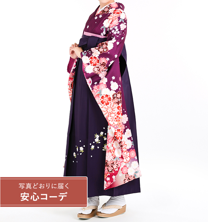 卒業式レンタル　振袖Mサイズ＋袴セット　ブランド：H・L（アッシュエル）絞り風　束ね熨斗桜流水　紫