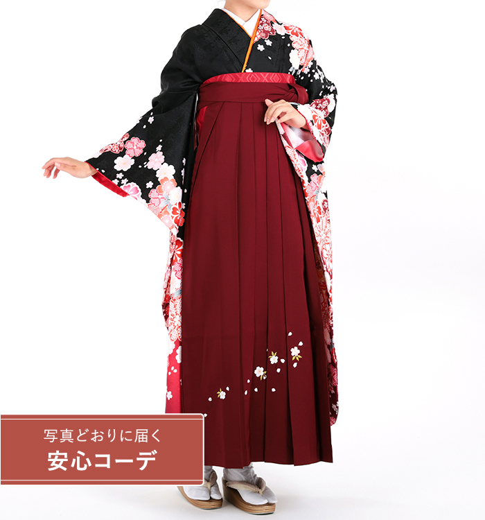卒業式レンタル　振袖Mサイズ＋袴セット　ブランド：H・L（アッシュエル）絞り風　束熨斗桜流水　黒/赤
