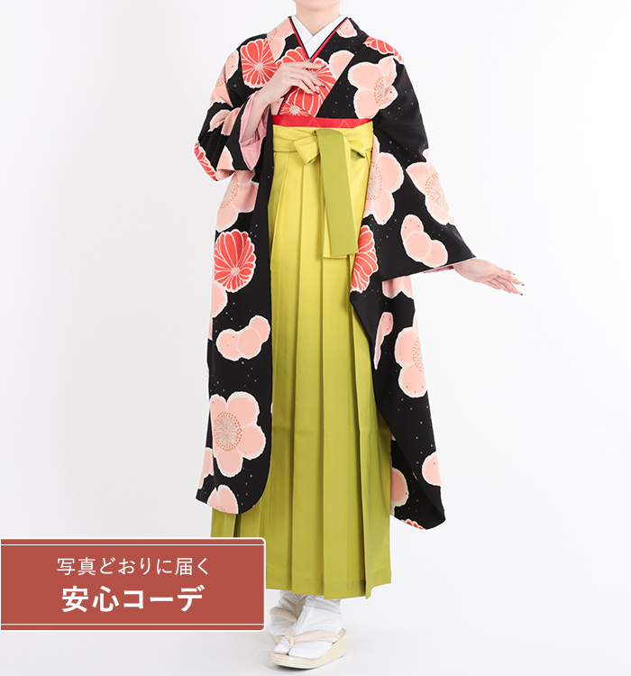 卒業式レンタル　振袖Mサイズ＋袴セット　ブランド：tsumori chisato　大菊桜　黒/ピンク