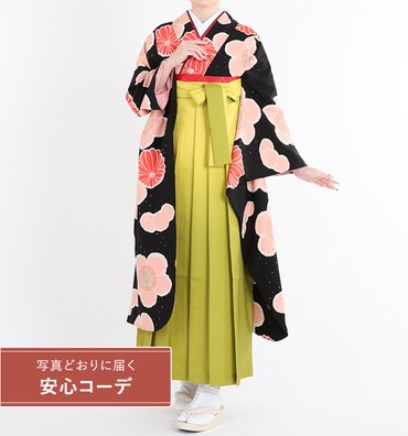 卒業式レンタル　振袖Mサイズ＋袴セット　ブランド：tsumori chisato　大菊桜　黒/ピンク