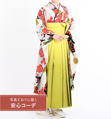 卒業式レンタル　振袖Mサイズ＋袴セット　ブランド：和風館　薔薇菊　クリーム/朱赤