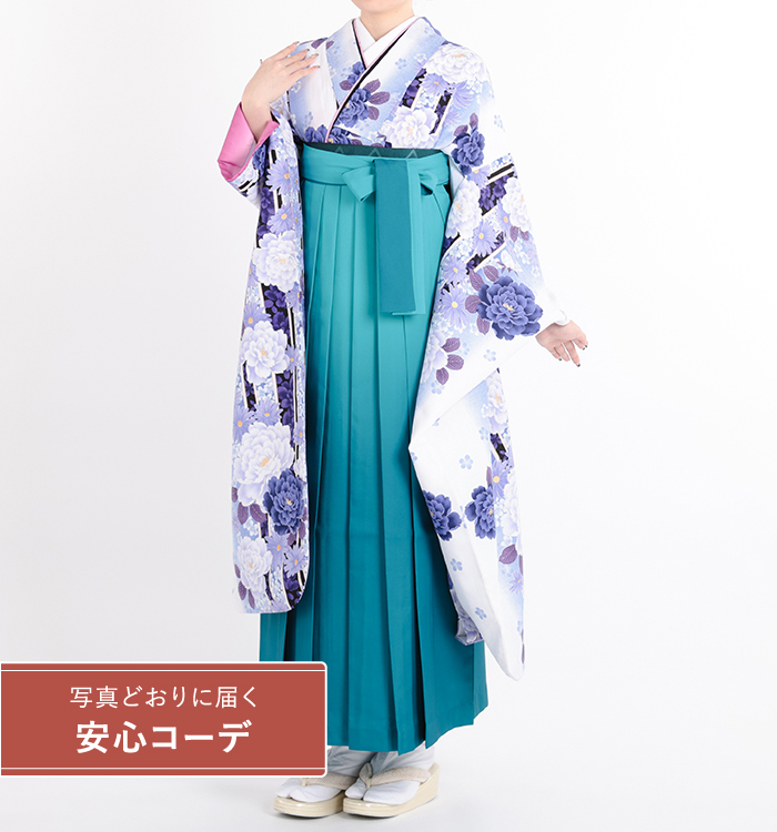 卒業式レンタル　振袖Mサイズ＋袴セット　ブランド：H・L（アッシュエル）縞に花　紫/白