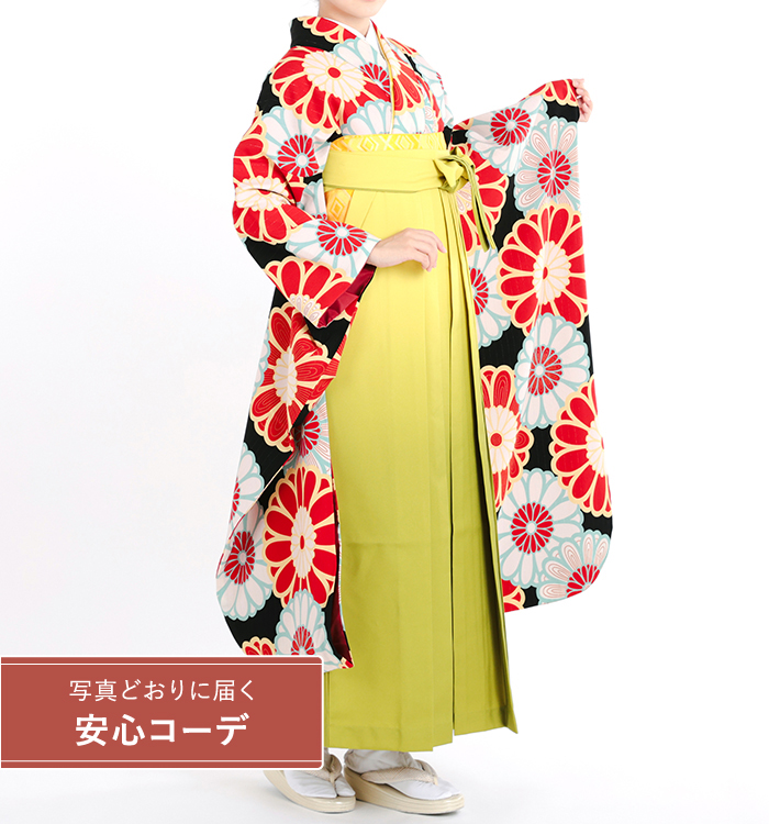 卒業式レンタル　振袖Mサイズ＋袴セット　ブランド：和風館　菊　黒/赤/水色