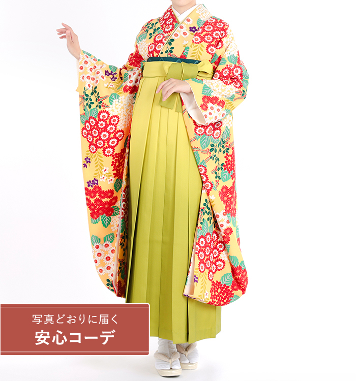 卒業式レンタル　振袖Mサイズ＋袴セット　ブランド：きもの道楽　小菊と紫陽花　黄色