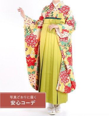 卒業式レンタル　振袖Mサイズ＋袴セット　ブランド：きもの道楽　小菊と紫陽花　黄色