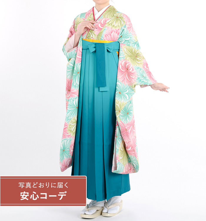 卒業式レンタル　振袖Mサイズ＋袴セット　ブランド：きもの道楽　もも菊　ピンク/水色/黄緑