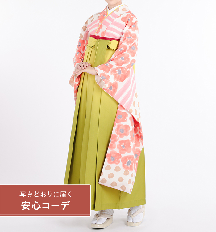 卒業式レンタル　振袖Mサイズ＋袴セット　ブランド：tsumori chisato　横段椿　クリーム