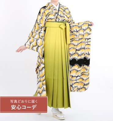 卒業式レンタル　振袖Mサイズ＋袴セット　ブランド：tsumori chisato　フリフリル　黄/黒