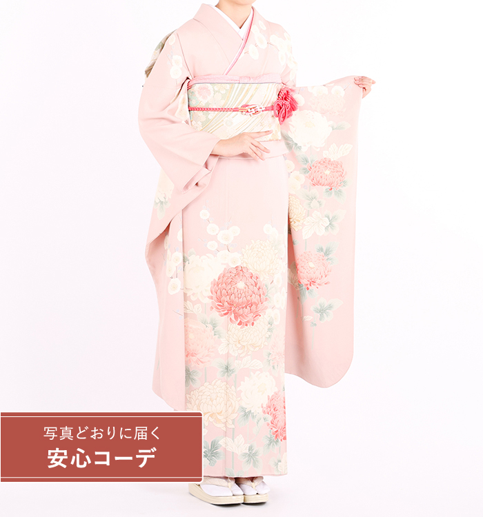 【写真どおりに届く安心コーデ】振袖レンタル　振袖Lサイズ　京友禅：菊　桜色
