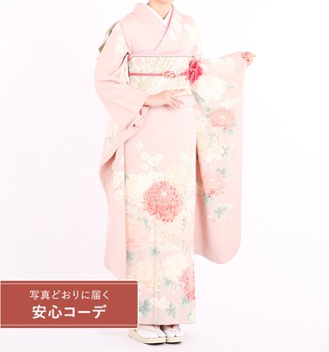 【写真どおりに届く安心コーデ】振袖レンタル　振袖Lサイズ　京友禅：菊　桜色