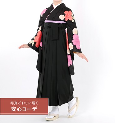 卒業式袴レンタル　小振袖Mサイズ＋袴セット　大桜に菊　黒
