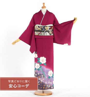 【写真どおりに届く安心コーデ】訪問着レンタル　訪問着Lサイズ　雪輪取り、椿、桜