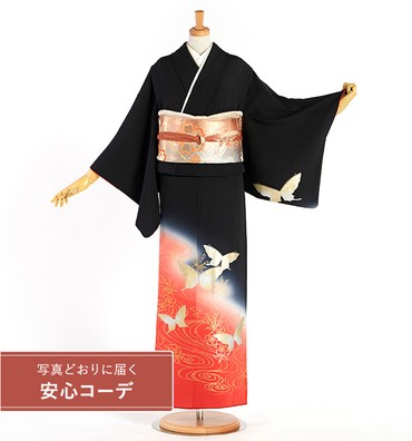 【写真どおりに届く安心コーデ】訪問着レンタル　訪問着Lサイズ　蝶、流水文、桜