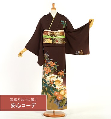 【写真どおりに届く安心コーデ】訪問着レンタル　訪問着LLサイズ　シャクナゲ、南天、牡丹、笹、菊