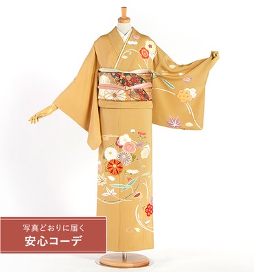 【写真どおりに届く安心コーデ】訪問着レンタル　訪問着Lサイズ　菊、梅、楓、笹、桜