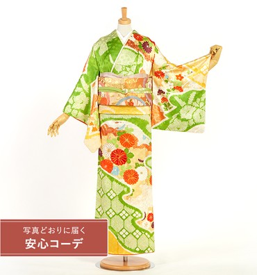 【写真どおりに届く安心コーデ】訪問着レンタル　訪問着Sサイズ　道長取り、菊、梅、牡丹、椿、雲取り