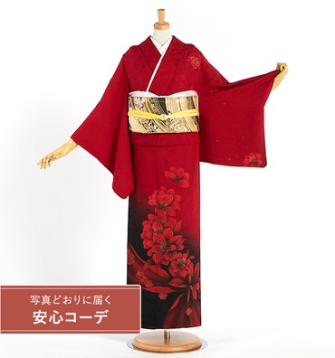 【写真どおりに届く安心コーデ】訪問着レンタル　訪問着Sサイズ　洋花