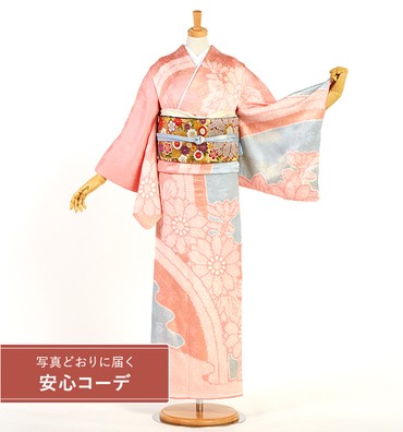 【写真どおりに届く安心コーデ】訪問着レンタル　訪問着Mサイズ　菊、波文、青海波