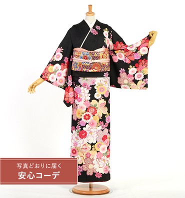 【写真どおりに届く安心コーデ】訪問着レンタル　訪問着Mサイズ　菊、桜