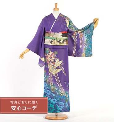 【写真どおりに届く安心コーデ】訪問着レンタル　訪問着Mサイズ　葉、蝶、藤