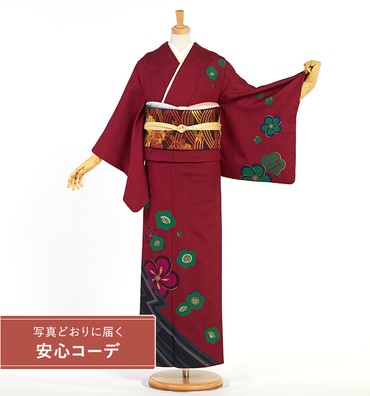 【写真どおりに届く安心コーデ】訪問着レンタル　訪問着Sサイズ　梅文