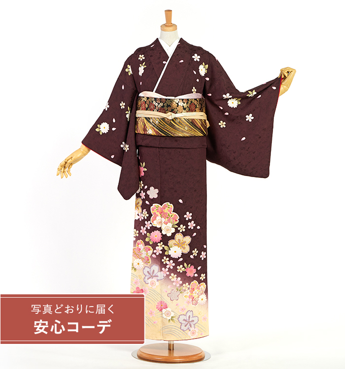 【写真どおりに届く安心コーデ】訪問着レンタル　訪問着Lサイズ　桜文、菊、波文