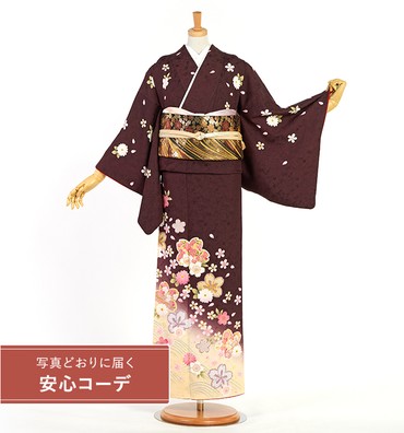 【写真どおりに届く安心コーデ】訪問着レンタル　訪問着Lサイズ　桜文、菊、波文