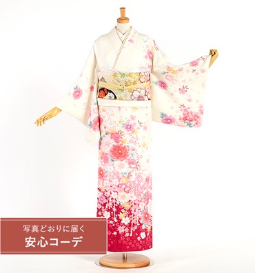 【写真どおりに届く安心コーデ】訪問着レンタル　訪問着Lサイズ　菊、桜、楓、組紐