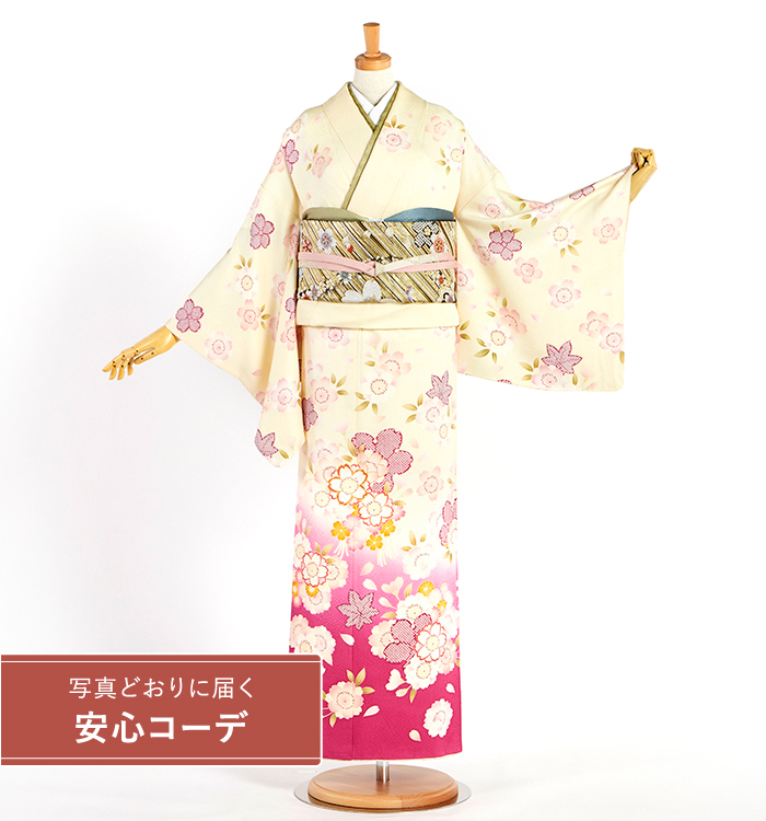 【写真どおりに届く安心コーデ】訪問着レンタル　訪問着Lサイズ　桜、楓