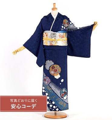 【写真どおりに届く安心コーデ】訪問着レンタル　訪問着Sサイズ　桔梗、梅、雪輪、鹿の子絞り、桜